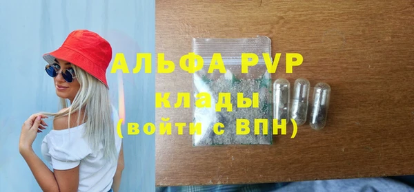 стаф Алзамай